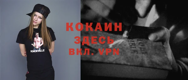 мескалин Богданович