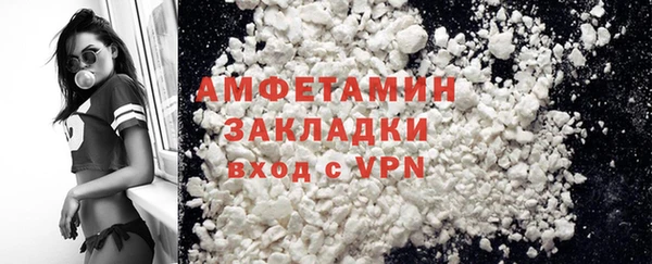 твердый Бородино