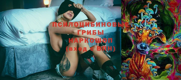 мескалин Богданович