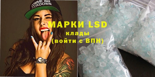 твердый Бородино